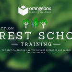 An Introduction to Forest Schools - Proving Popular