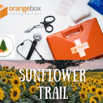 Orangebox offering bespoke training to a local farm event